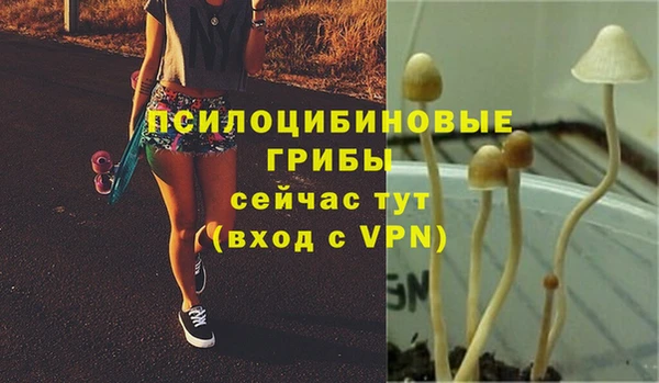 мяу мяу мука Нея