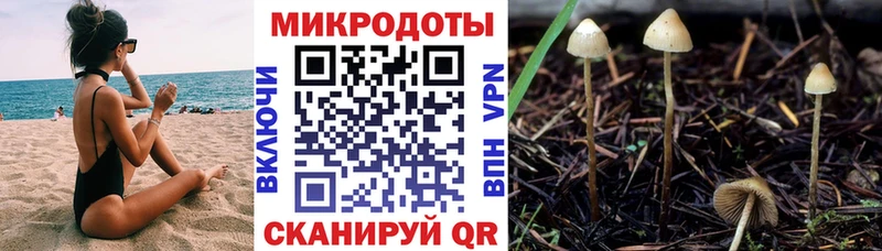 KRAKEN вход  Красноуфимск  Галлюциногенные грибы GOLDEN TEACHER 